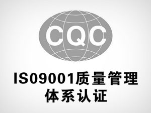 公司顺利通过ISO9001-2015质量管理体系认证